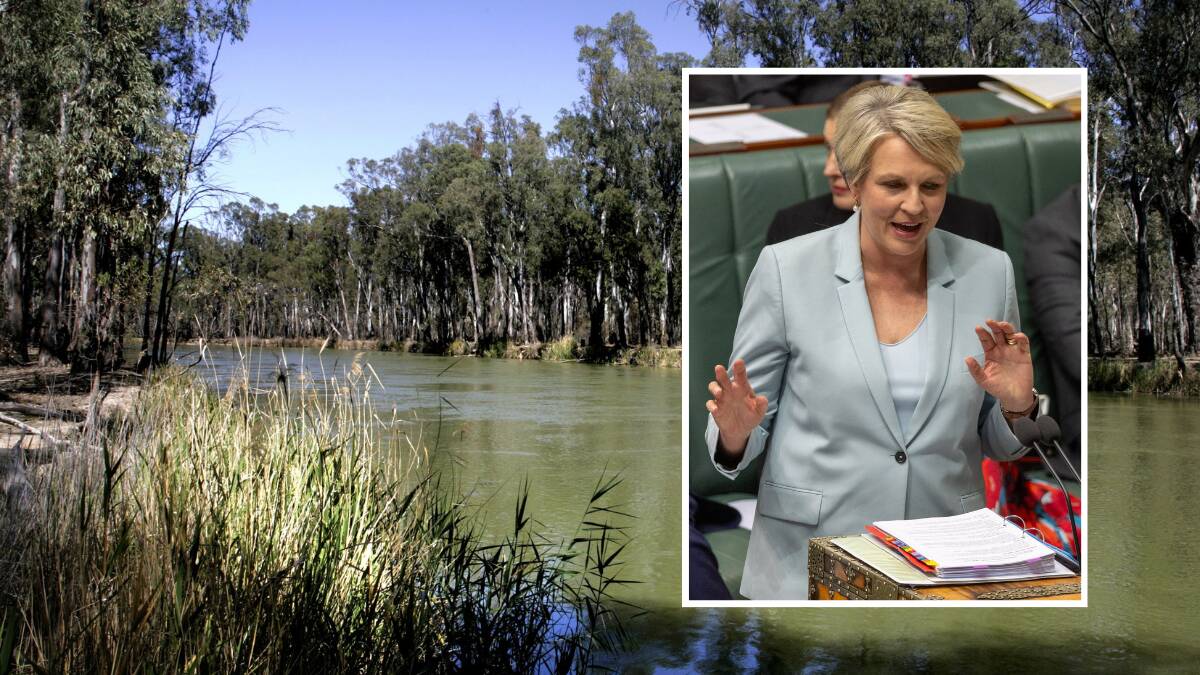 Concerns are growing the basin plan announcement by Water Minister Tanya Plibersek is about politics, not about achieving environmental outcomes.