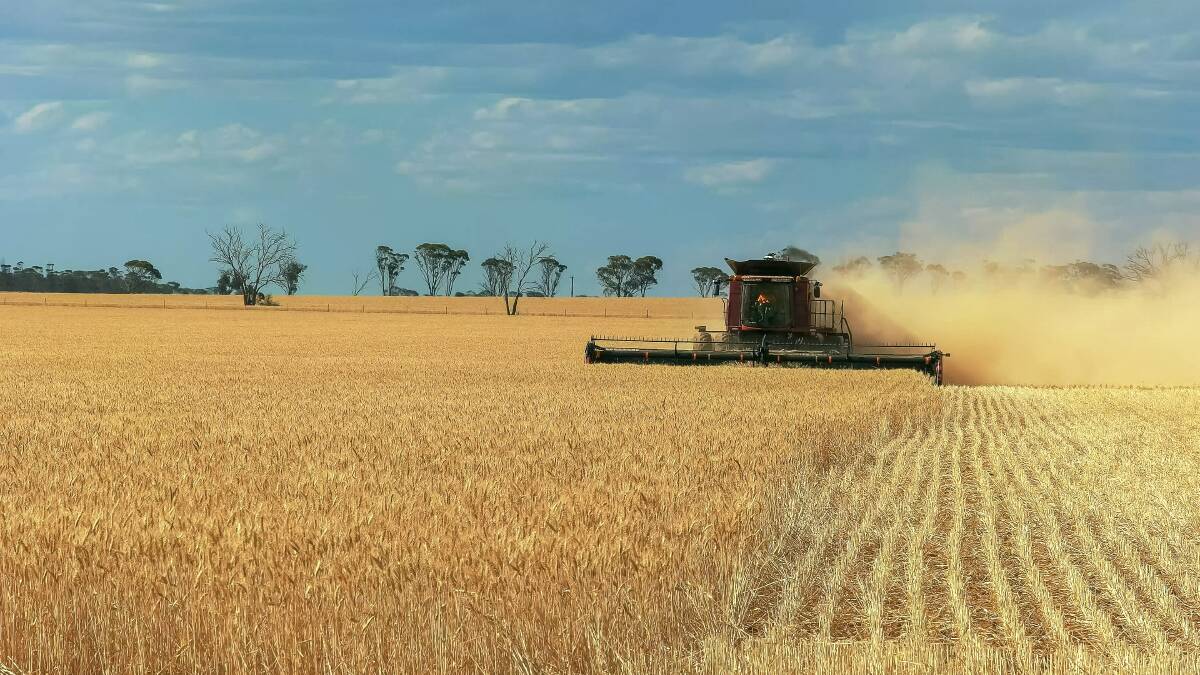 Southern Queensland is fronting up for a bumper winter crop harvest following a fantastic season. Photo by Shutterstock/crbellette.