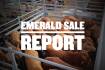 Store steers reach dizzy height of 590c at Emerald