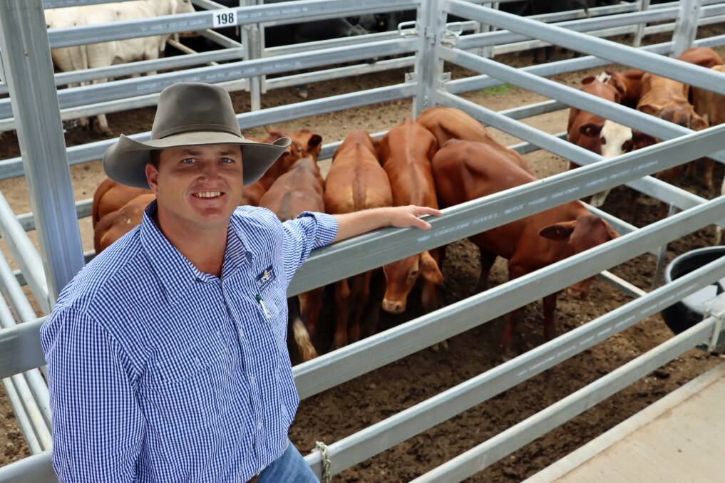 Burnett Livestock & Realtys James Cochrane with a pen of Santa Gertrudis cross weaner steers on account of Daryl and Amie Taylor, Goomeri, that sold for 856.2c/kg or $1944/head.
