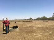 Paul Doneley, Dunraven, Barcaldine, Queensland, where a study into distances sheep travel per day was carried out, beginning in 2019.