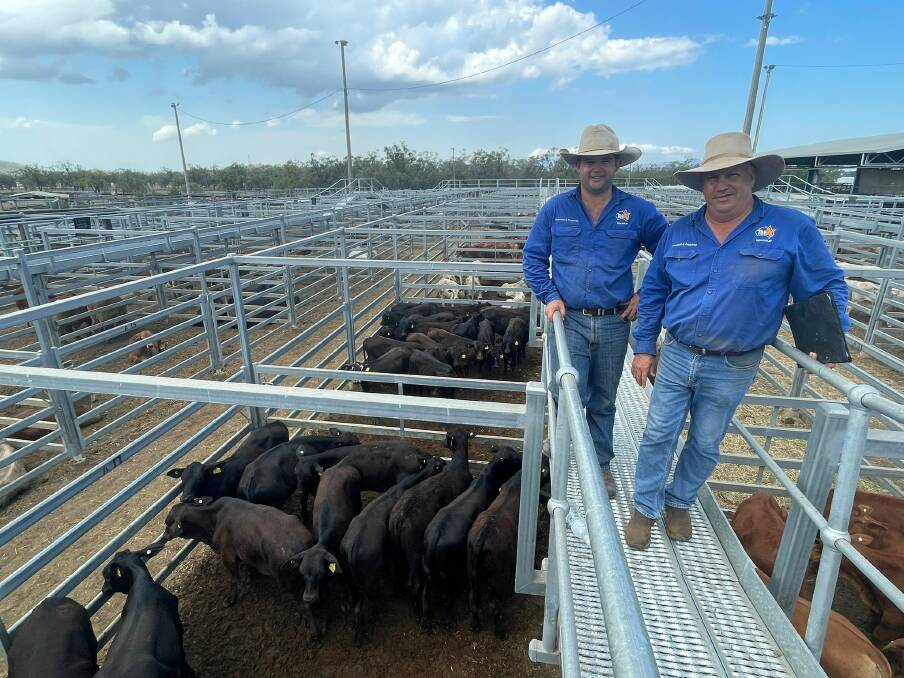 TopX Gracemeres Morgan Harris and Brad Mulvihill with 121 mixed-bred steers, offered by Price Cattle Company, which sold for 664c/kg and weighed 215kg to return $1428/head.