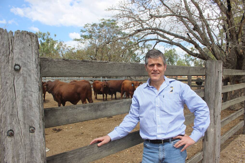 AgForce CEO Michael Guerin says vegetation in Queensland is growing - not being cleared at rates that sometimes draw unfavourable comparisons with the Amazon rainforest in Brazil, or forest in Borneo.