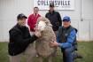 National Merino on-property record falls at Collinsville sale