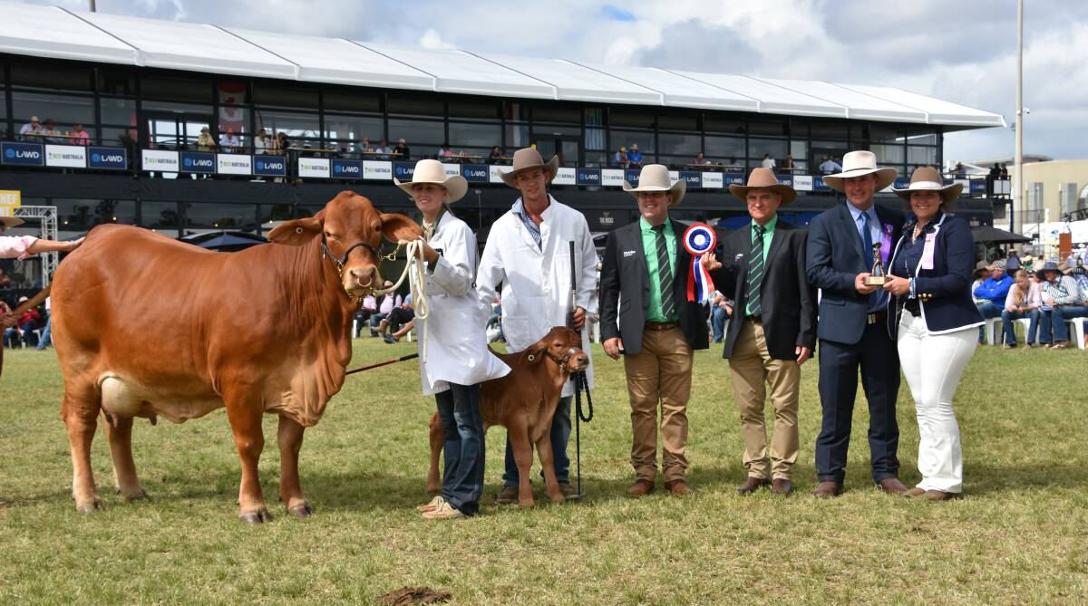 Tayla Childs and Callan Childs, with their grand champion female Glenlands D Esprit and her calf with Nutrien studstock's Dane Pearce and Mark Scown, judge Andrew Raff and associate judge Hannah Lehmann, Prenzlau. Picture by Catherine Miller