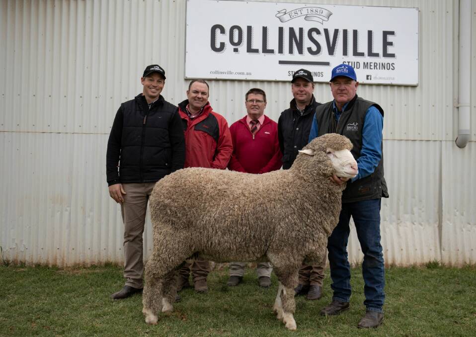 Collinsville general manager Tim Dalla, Elders Ben Finch and Tony Wetherall, stud principal George Millington and Brooks Merino Services' Tony Brooks with the $88,000 ram, Collinsville Imperial 200033. Photo: Tegan Buckley, Mallee Marketing