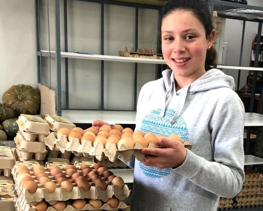 Chloe Galea on the job her family's Penrith egg farm.