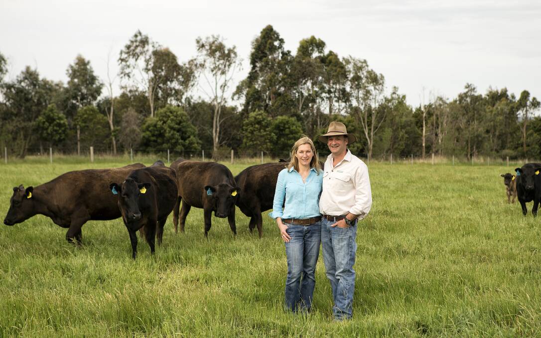 IN IT FOR THE LONG-TERM: Vicki and Nick Sher, Glen Leckie at Ballan, near Ballarat, with Wagyu cows.