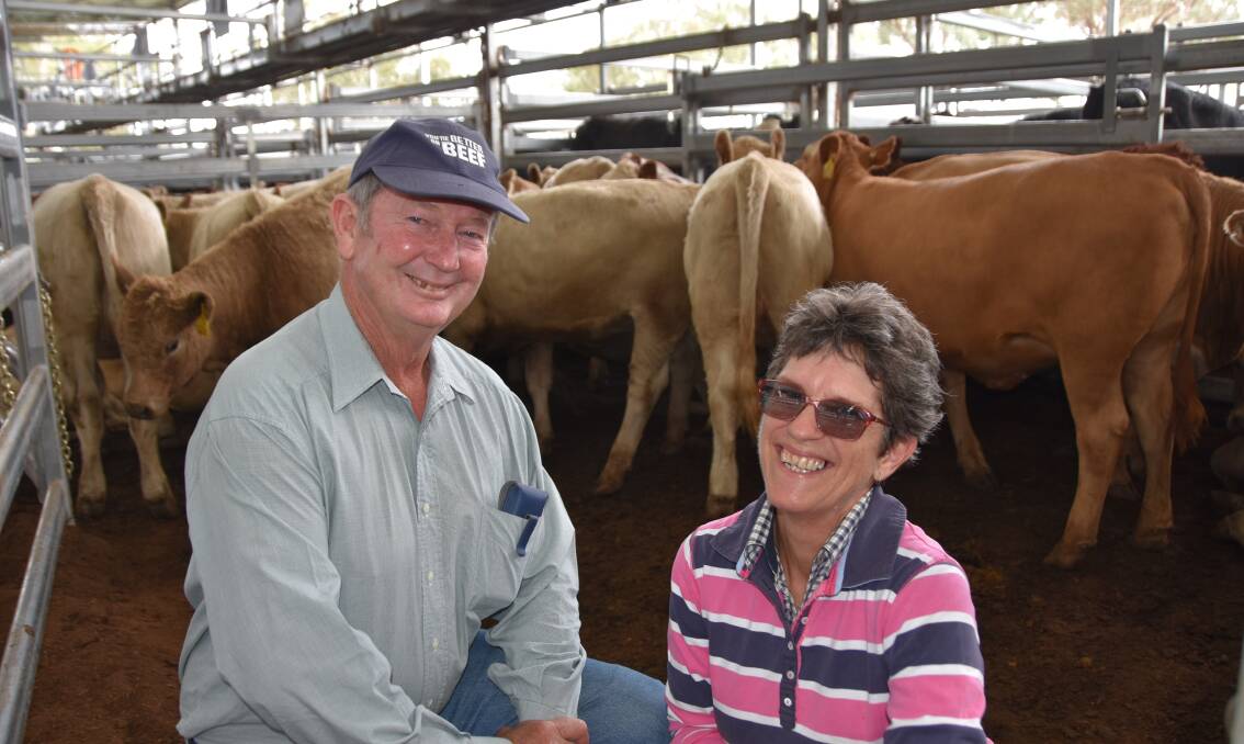 Glen and Meredith Miller, Glen Elton at Crooble, with a pen of Charolais-cross heifers which made 568 cents a kilogram, or $1841 a head, at the Inverell Weaner Sale yesterday.