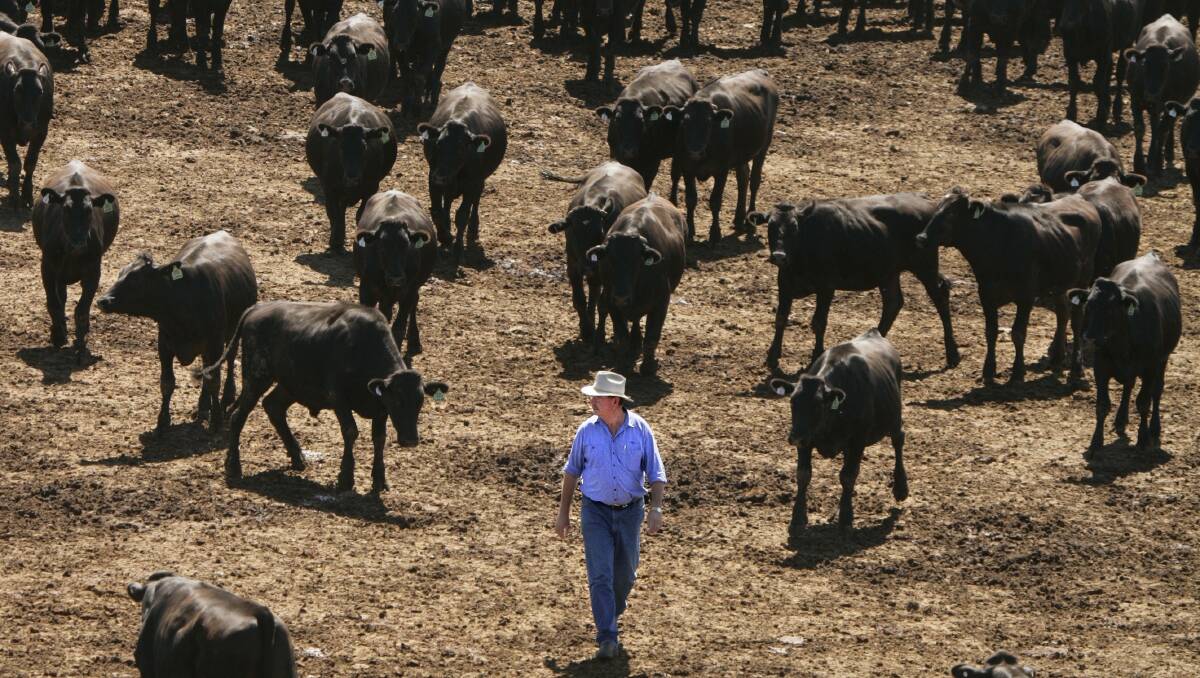 It's not the sheep and cattle that cause problems: Don Mackay on his years in agriculture - Queensland Country Life