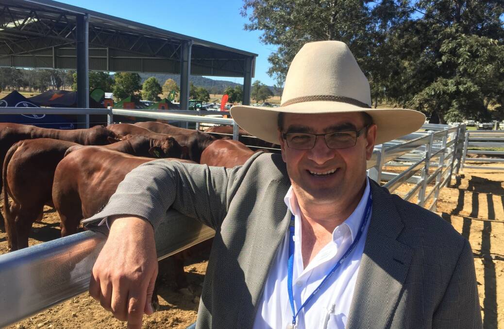 Chair of the Australia-EU Red Meat Market Access Taskforce Jason Strong.