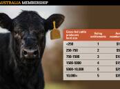 SCALED: Initially, membership to Cattle Australia will be free for all levy-paying grass-fed producers who apply, however longer term, fees are linked with a scaled voting table.
