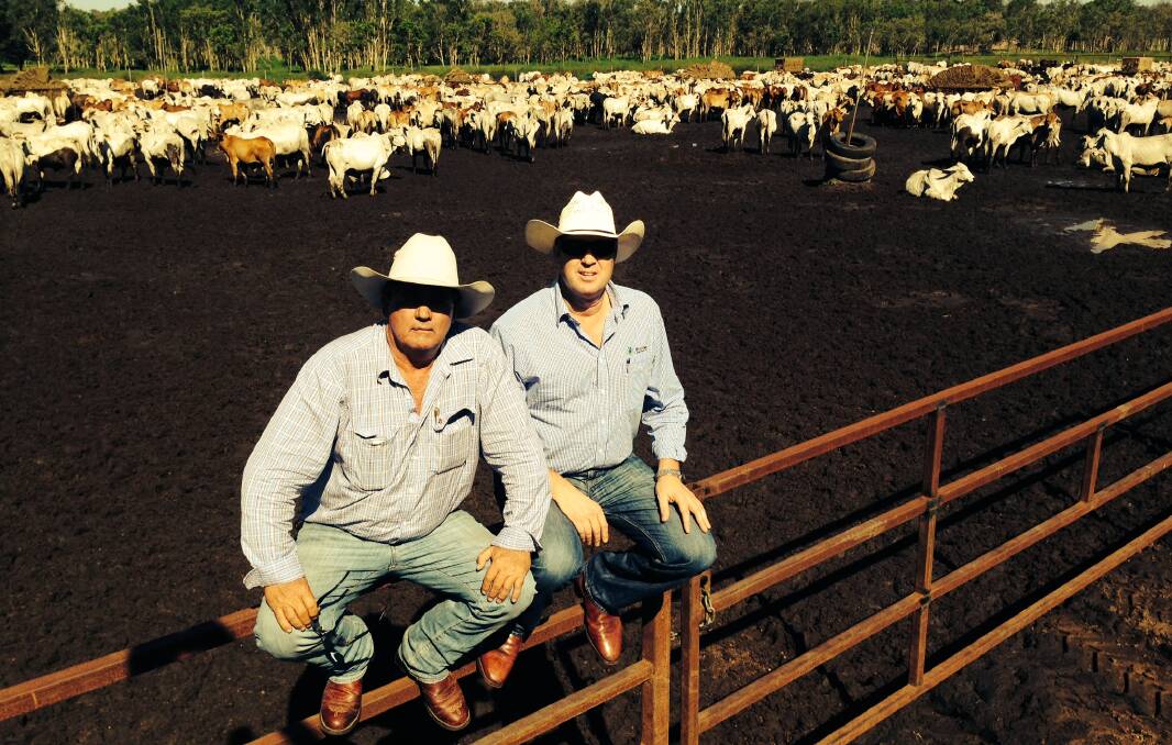 ON THE MOVE: Frontier's sales director Tony Gooden and Northern Territory buyer Mike Garland with cattle in pre-export quarantine in the Territory. 