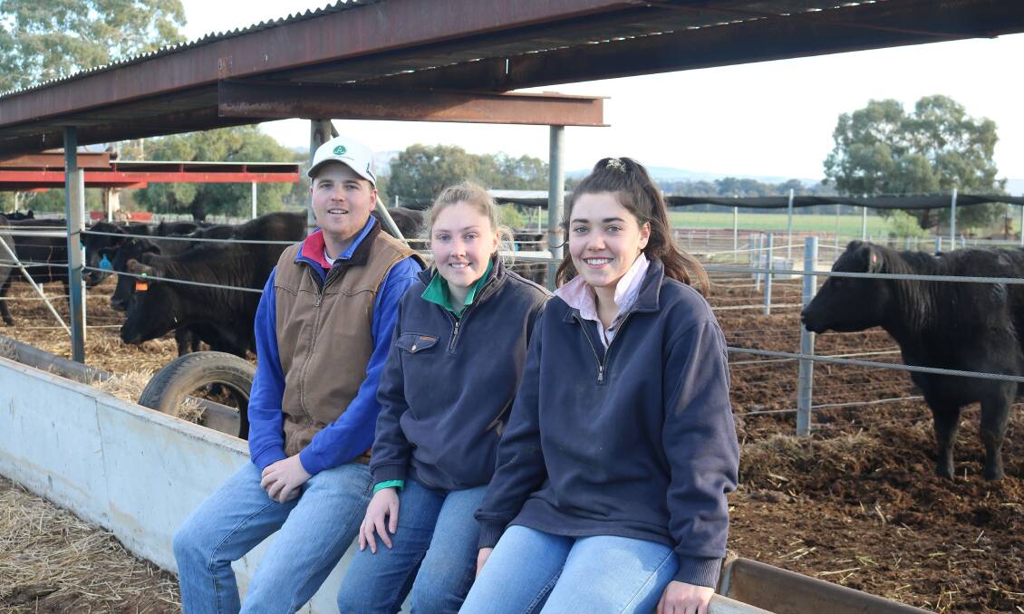 DEEP DIVE: Charles Sturt University students Jake Bourlet, Christine Harris and Jessie Phillips looked at liveweight and meat quality gains from feeding cull cows.