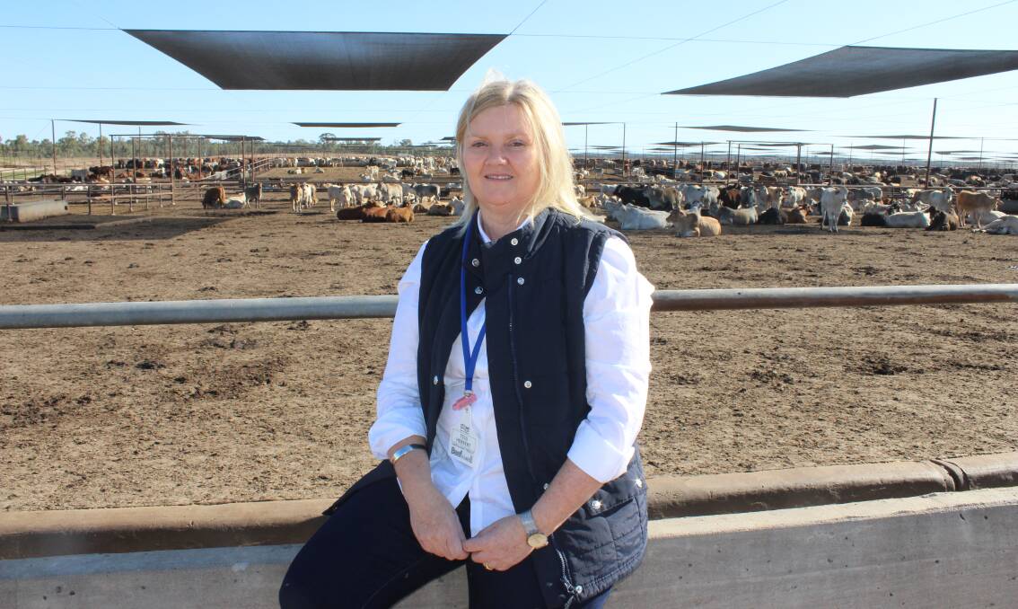 AT THE HELM: NSW lotfeeder and producer Tess Herbert is the new chair of the Beef Sustainability Framework.