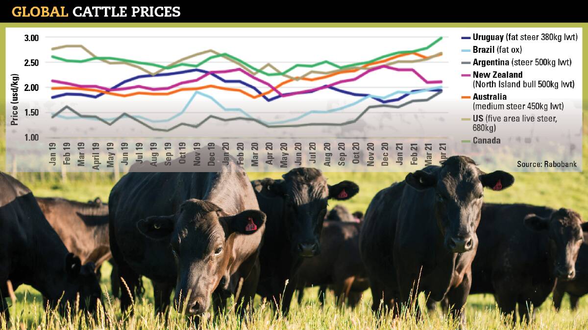Global cattle prices soar Queensland Country Life QLD