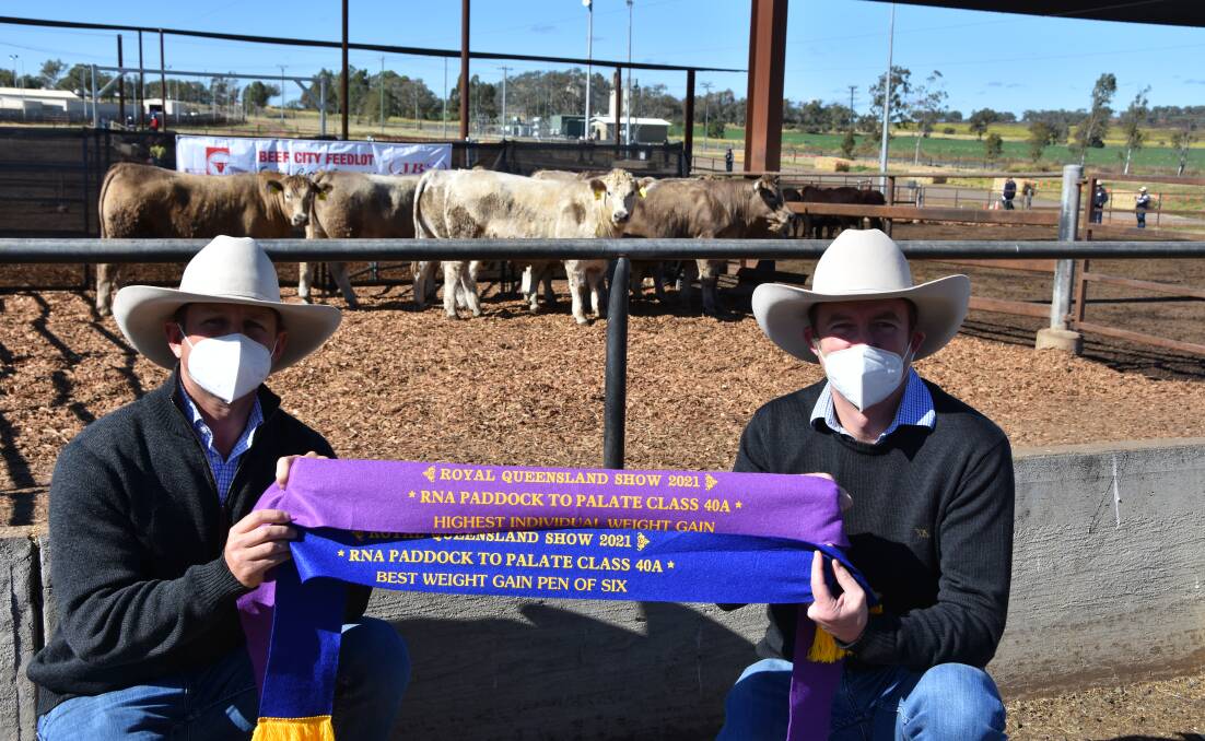 TOP PERFORMERS: Palgrove Pastoral's business and genetics manager Ben Noller and CEO Will Heath with the winning pen of six steers in the 100 days Hormone Growth Promotant free export class. 