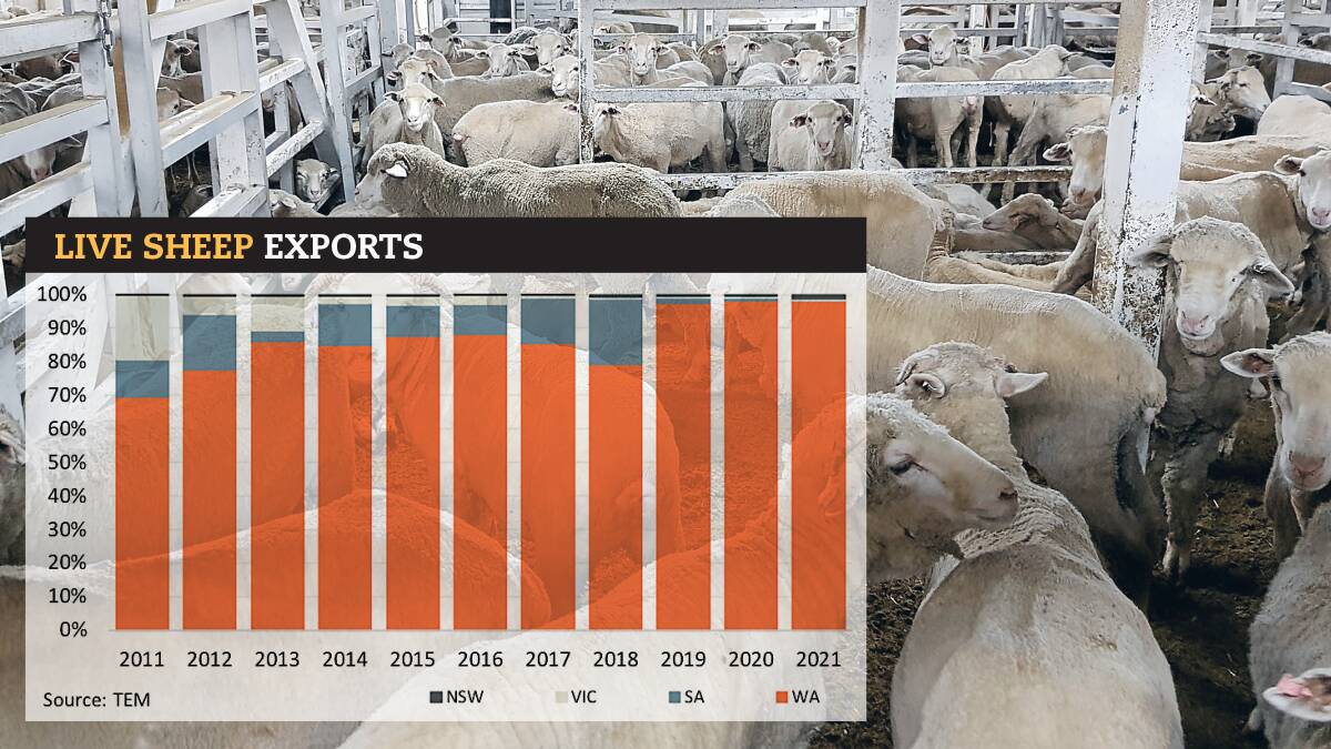 Live sheep exporters look to get more ships on the water