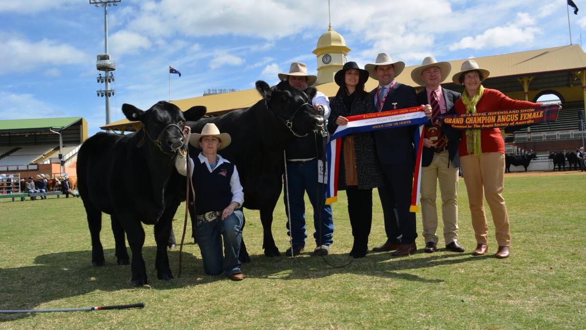 Grand Champion Angus female K5X Lisa H56, led by Stephen Hayward and calf K5X Line of Duty, led by Stacey Clark, Casino, with Fiona and Andrew Bassingthwaighte, Andrew Meara, Elders Stud Stock at Toowoomba and Mary Peden "Burenda Angus" at Dalby Downs.