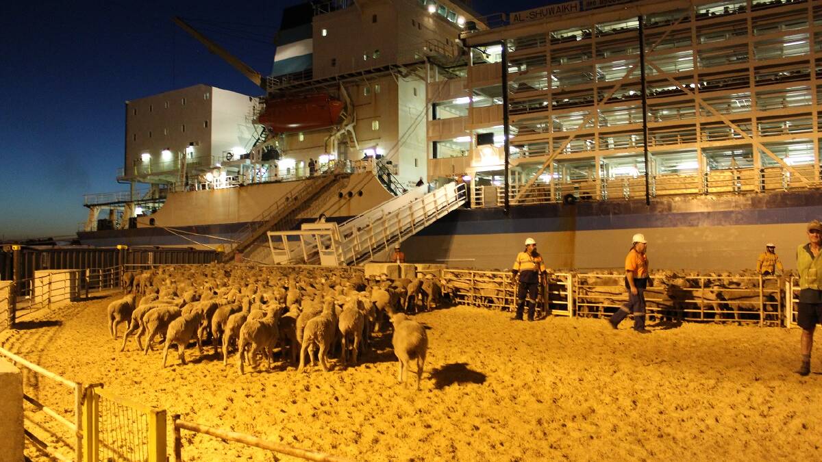Dehumidification potential on live export ships