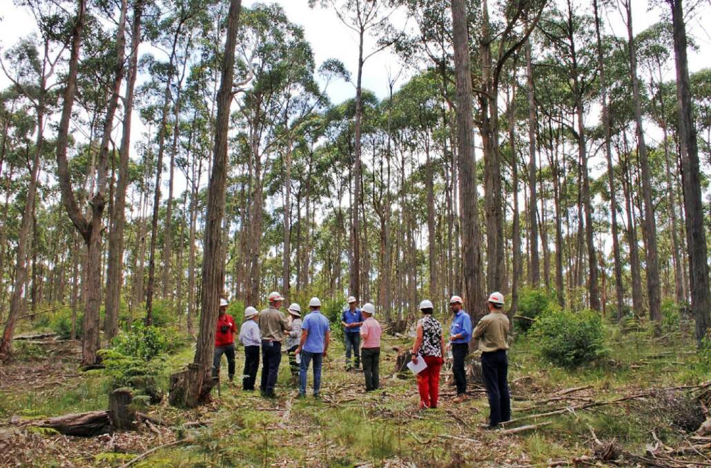 NEW PARKS: An expert committee considers the combination of existing state forests, parks and reserves into new national parks. Picture: Victorian government.