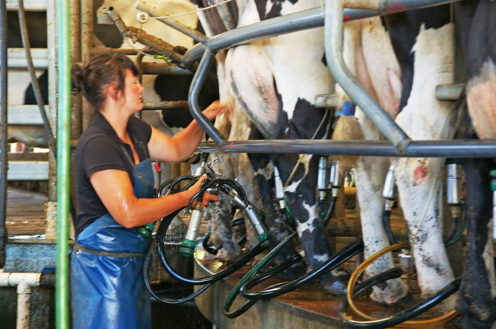 PRICE CRUNCH: Consumers will have to pay more for milk as part of the fallout over the intense competition among processors to secure farm volumes.