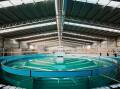 TOP QUALITY: The stables feature a large indoor facility complete with an Aquaciser water walker. Pictures: supplied.