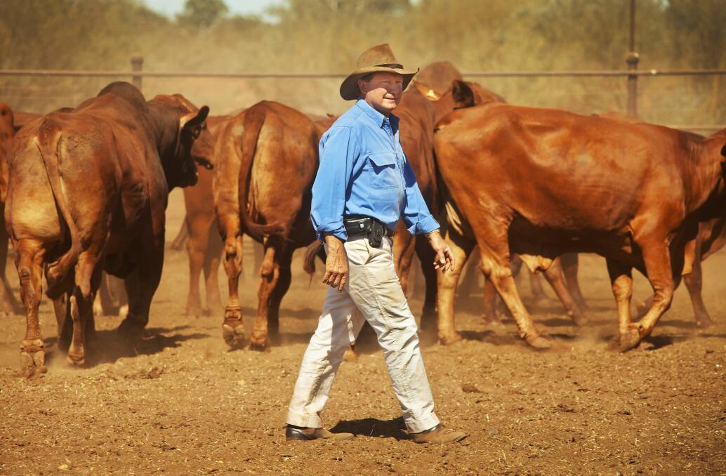 Andrew Forrest already owns several cattle stations and is now showing interest in the nation's largest beef producer. 