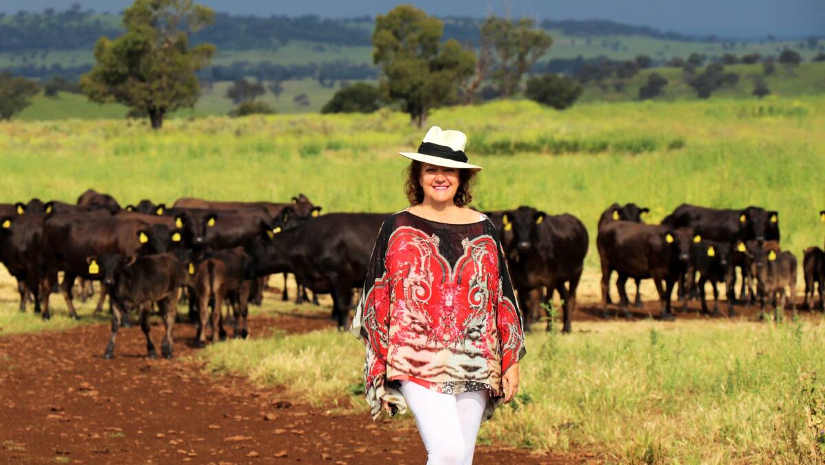 Gina Rinehart has unveiled her plan to use the profits from the sale of cattle stations in the north to buy farm properties on the east coast.