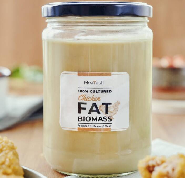 HOLY GRAIL: This is the 700g sample of fat produced in a laboratory which developers believe could revolutionise the fake meat industry and challenge animal products for taste. Picture: MeaTech.