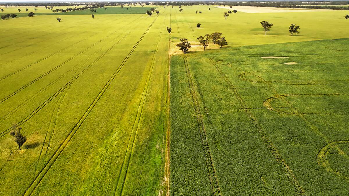 Handy cropping country on the SA/Victorian border is heading to auction after the harvest is done.