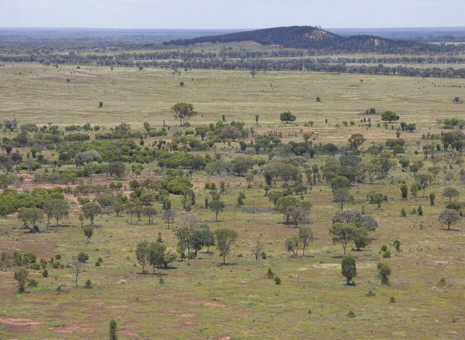 South west Queensland property Noella in the Charleville district sold at an Elders auction for $27 million - an impressive $878/ha ($355/acre). The 30,758ha (76,002 acre) property is described as a prime breeding property. Picture supplied 