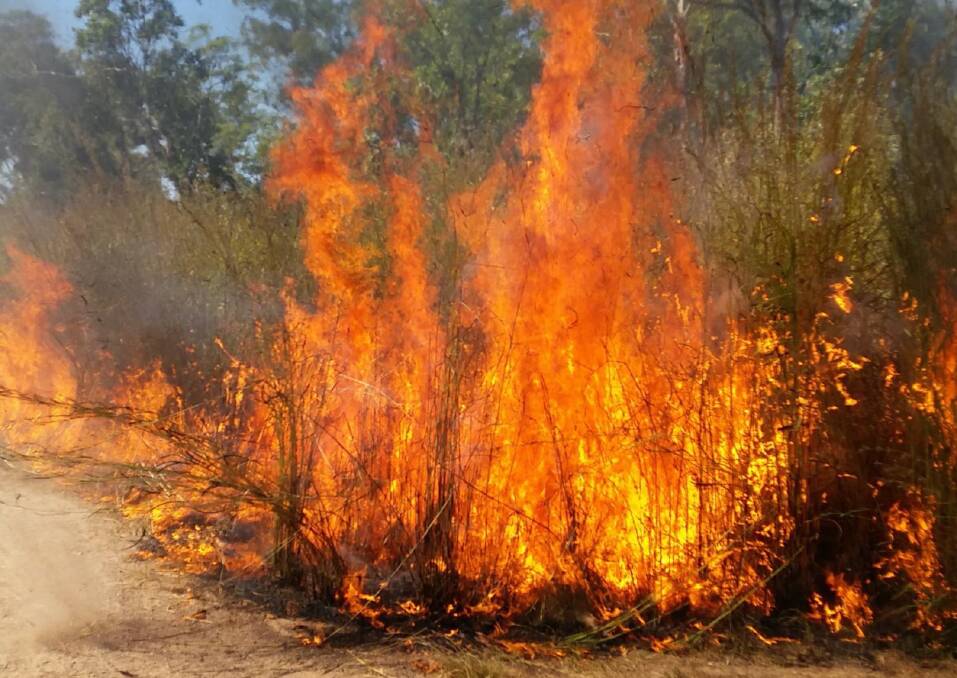 Volunteer firefighters in the NT say the spread of Gamba grass is now endangering people's lives. 