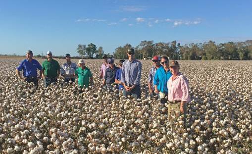 NT farmers toured Qld and northern NSW cotton farms earlier in the year.