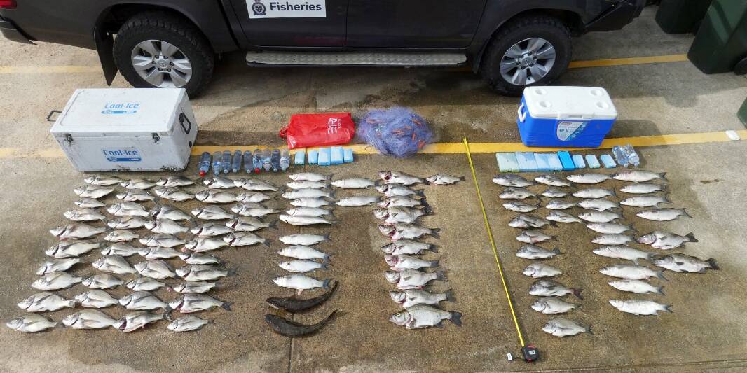 About 100 fish were also seized.