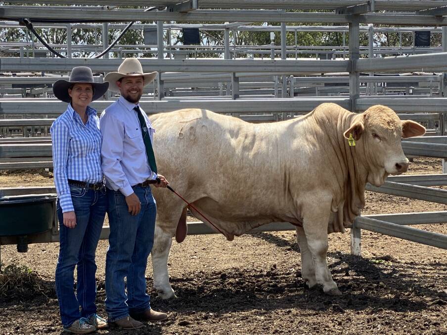 Adam and Elise Marshall of Greenfields Charbrays with lot 27,Greenfields Summer, sold to Beaumont Grazing for $40,000. Image:Contributed