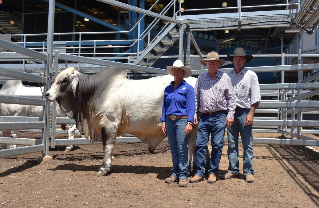 $30,000 Lancefield M Rutherford 5963/M pictured with vendor Janelle McCamley, Eulogie, Dululu, and buyers John Nelson, Beamesbrook Station, Burketown and Ben Stanger, Cowan Downs, Julia Creek.
