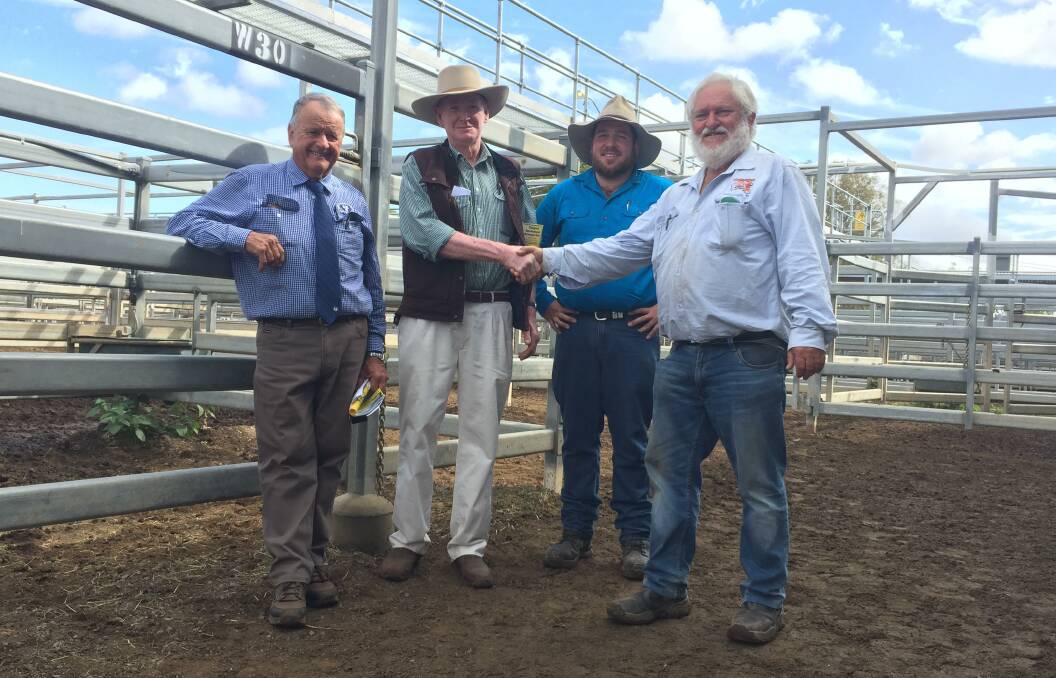 Neville Messer, top price bull buyer Gavin Arneil, The Wee Hirsel, Thangool with vendors Blair and Col Godfrey.