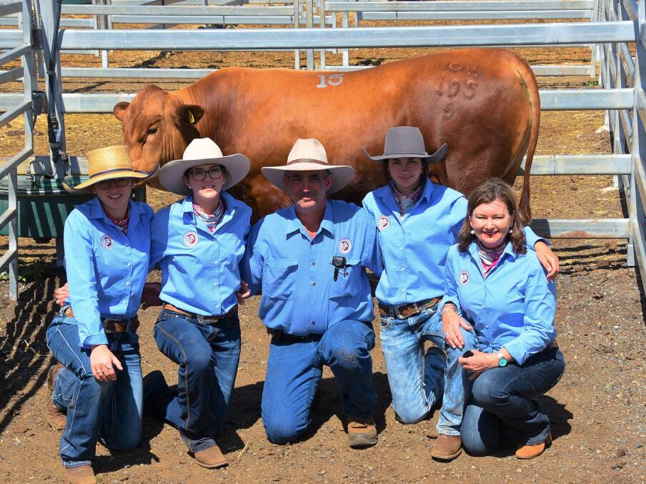 The Sherry family celebrate their first sale at CQLX Gracemere with a complete clearance for their bull draft.
