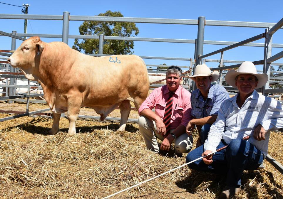 Equal Charbray top price was reached firstly by Bettafield Magnum (P)(RF),selling for $10,000. Magnum is pictured with Brian Wedemeyer, Elders, Rockhampton, Brad Passfield, Hourn & Bishop QLD, Moura and vendor Stephen Kajewski, Bettafield Charolais, Emerald.