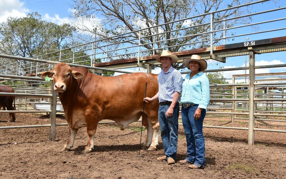 Strathfield 9JE Joker who sold to for $12,000 with vendor Josh Perry and buyer Donna Finger, Lake Lofty