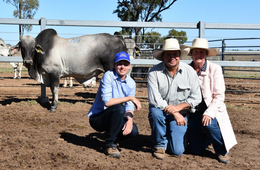Top priced $15 000 grey bull ALC 17-2269 (Ps) with vendor Louise Collins, Gundaroo Nebo with buyers David and Julie McCamley, Palmalmal, Dingo.