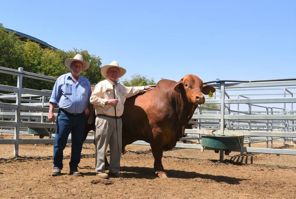 Long term supporter of the Cap Sale Ken Rutherford, Redbank, Mornish with vendor John Atkinson, Glenavon, Yaamba and sale topper bull Glenavon Victor (PS) who sold for $16,000 on Tuesday