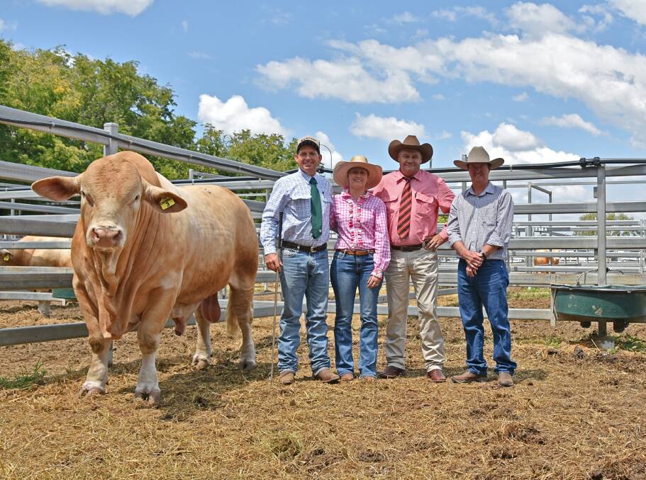 The $52,500 sale topper Wattlebray Ringer pictured with vendors Trevor and Lolita Ford, Wattlebray Charbrays, Chinchilla, selling agent Randall Spann, Elders stud stock, Moura, and buyer Phillip Nobbs, Cordelia P, Moura. Picture by Sheree Kershaw. 