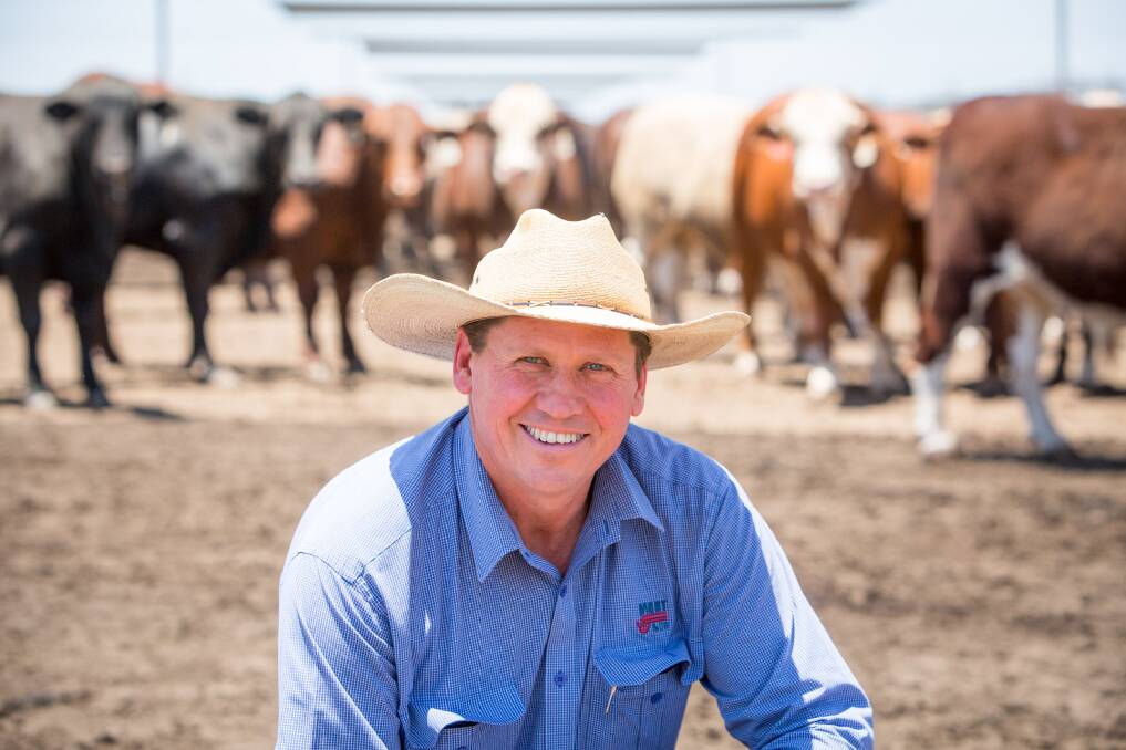 Mort & Co’s livestock manager, Brett Campbell, talks about breeding cattle for the feeder market.
