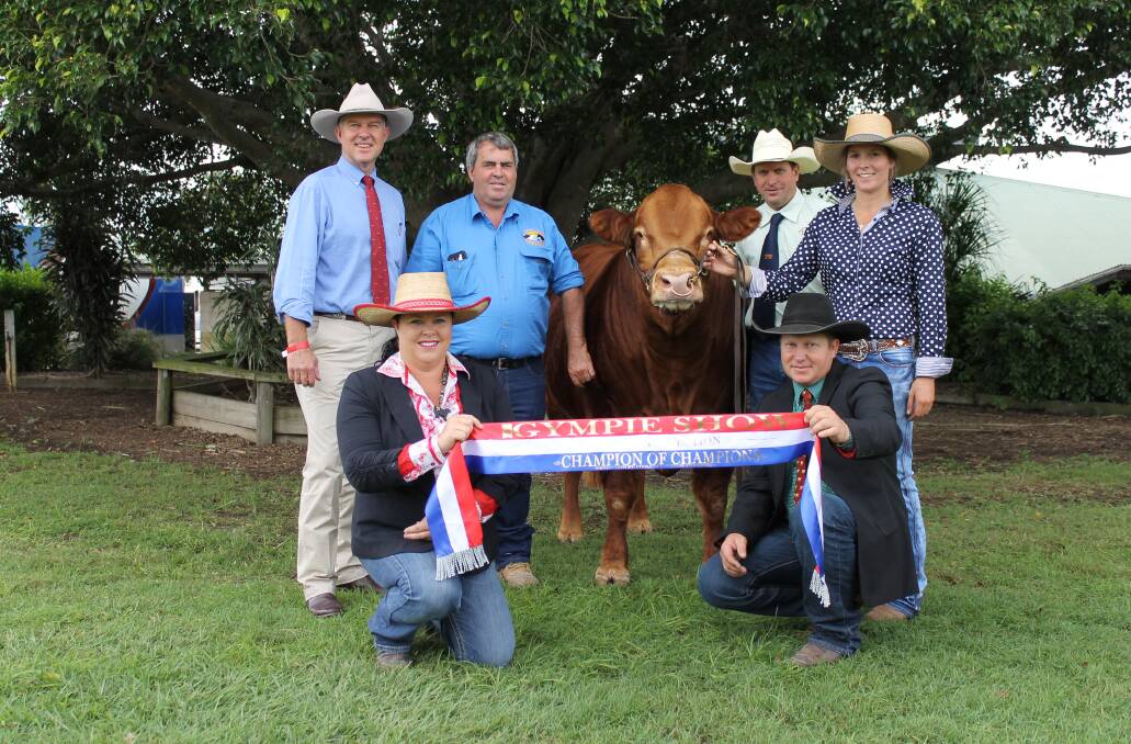 Gympie Show’s 2018 Champion of Champions was awarded to Gold Crest Milkshake Limousin bull pictured with state Member for Gympie Tony Perrett, sponsor John Lee, Cooloola Custom Stockfeeds, bull owner Darren Hartwig, Gold Crest Limousins, handler Emily Kahler and judges Travis and Julie Pocock-Iseppi.