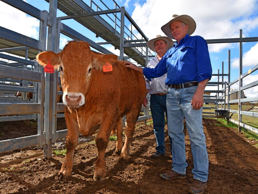 Graeme Wicks, Hillsbourgh, Tingoora with his reserve champion Limousin steer and judge Grant Shedden. 