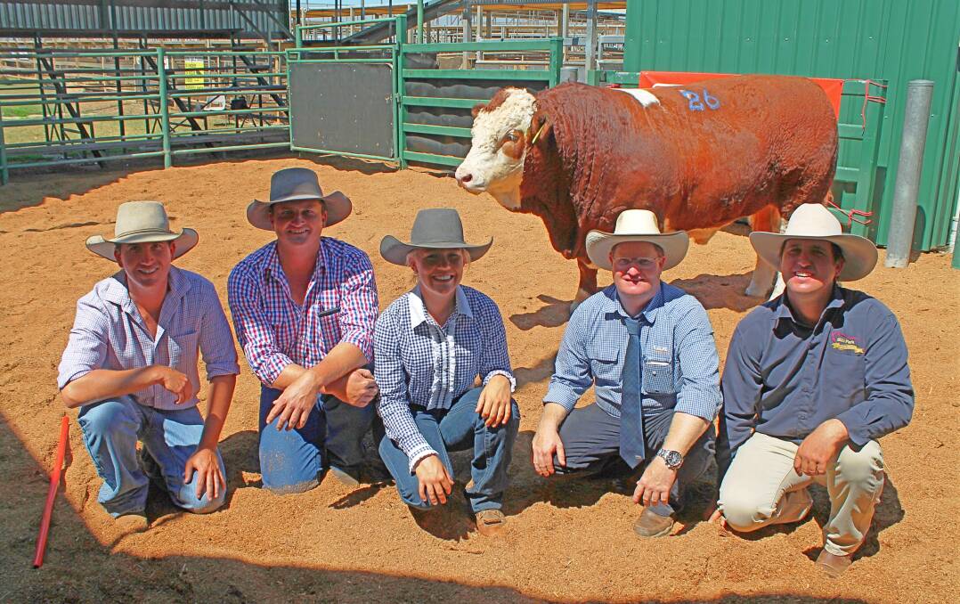Wayne York, James Cochrane and Emily Rockemer, Kendall Park, Coles Creek with GDL auctioneer Mark Duthie and Scott York, Billa Park Beef Pty Ltd, Jackson with the $14,500 top-priced Roma Simmental bull, Billa Park Next Generation N46.