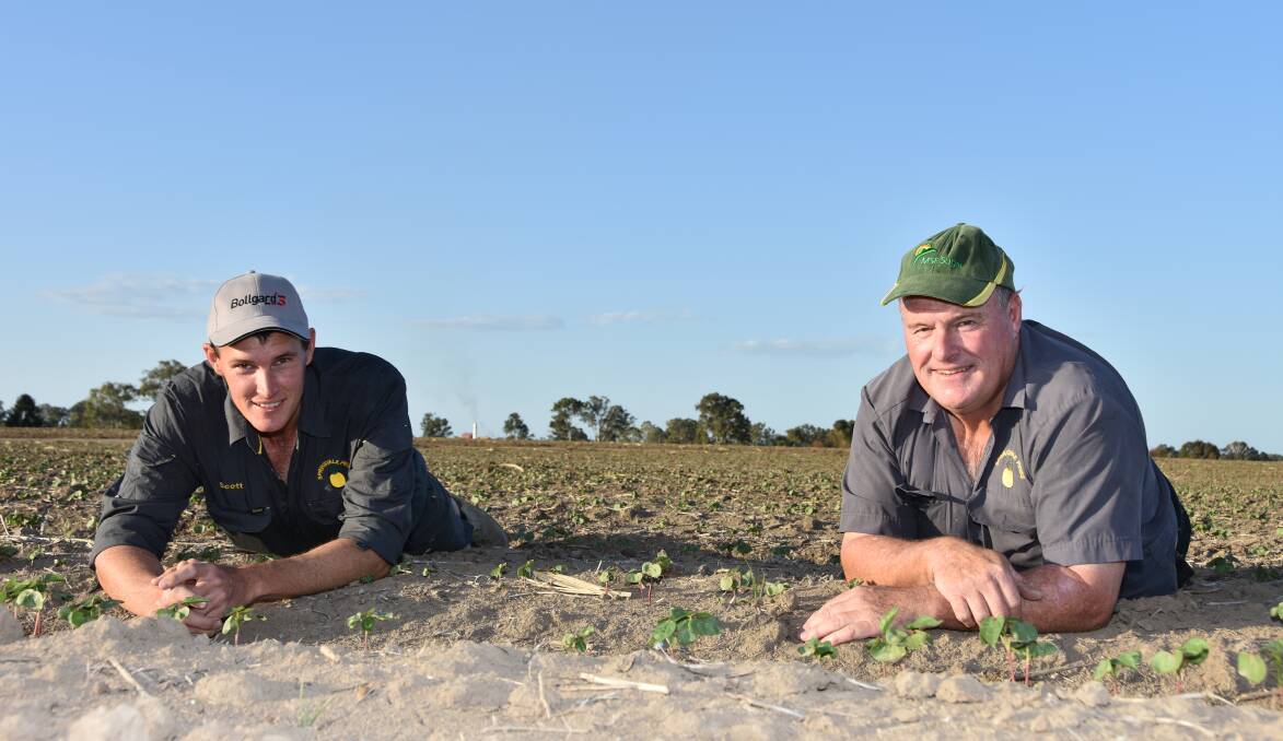 Scott and Ellison Maxwell have incorporated cotton as part of their farming business at Maryborough after regional trials of the crop six years ago.