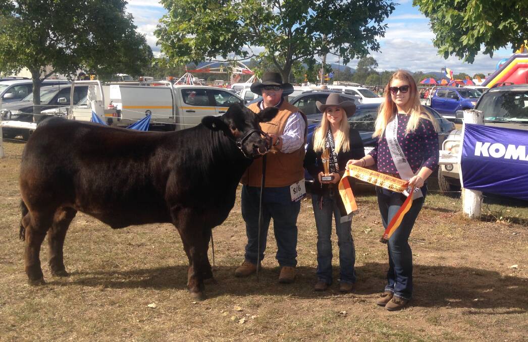 Reserve Champion Steer Cookie exhibited by Travis Luscombe, Toowoomba with Miss Showgirl Jessica Salotti and runner-up Miss Showgirl Ayla Nash.